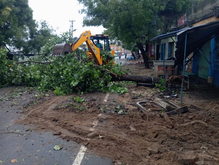 வேரோடு சாய்ந்த மரத்தால் போக்வரத்து இடடையூறு