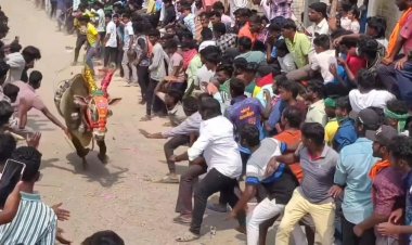 திருப்பத்தூரில் எருது விடும் திருவிழா.!