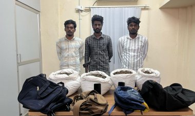 தாம்பரம் மாநகர காவல் எல்லைக்குட்பட்ட இருவேறு பகுதிகளில் 27 கிலோ கஞ்சா பறிமுதல் 5 பேர் கைது.!