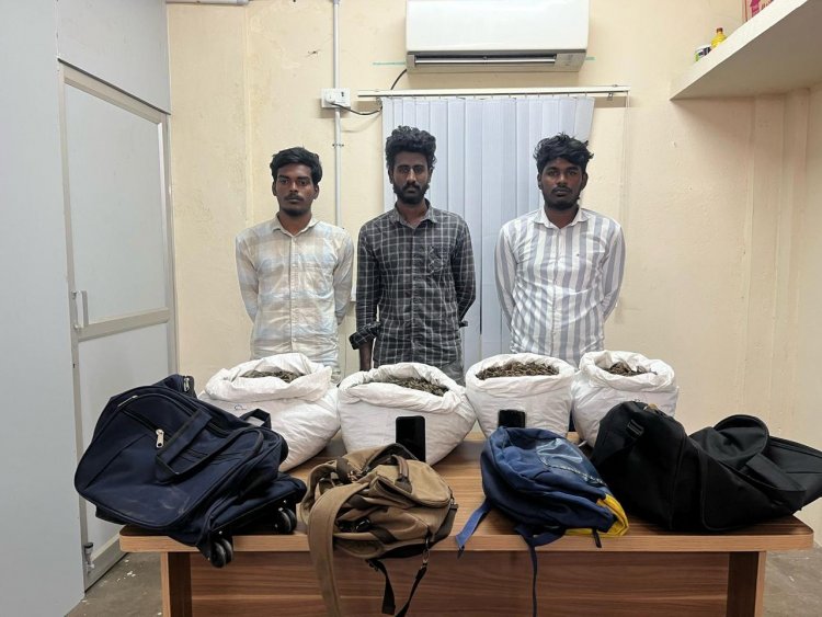 தாம்பரம் மாநகர காவல் எல்லைக்குட்பட்ட இருவேறு பகுதிகளில் 27 கிலோ கஞ்சா பறிமுதல் 5 பேர் கைது.!