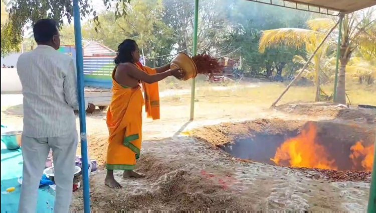 உலக மக்கள் நன்மை பெற வேண்டியும், மழை வேண்டியும் 2 டன் மிளகாய் யாகம்- பக்தர்கள் சாமி தரிசனம்