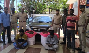 அனகாபுத்தூரில் காரில் கடத்திய 102 கிலோ கஞ்சா பறிமுதல் இருவர் கைது. !