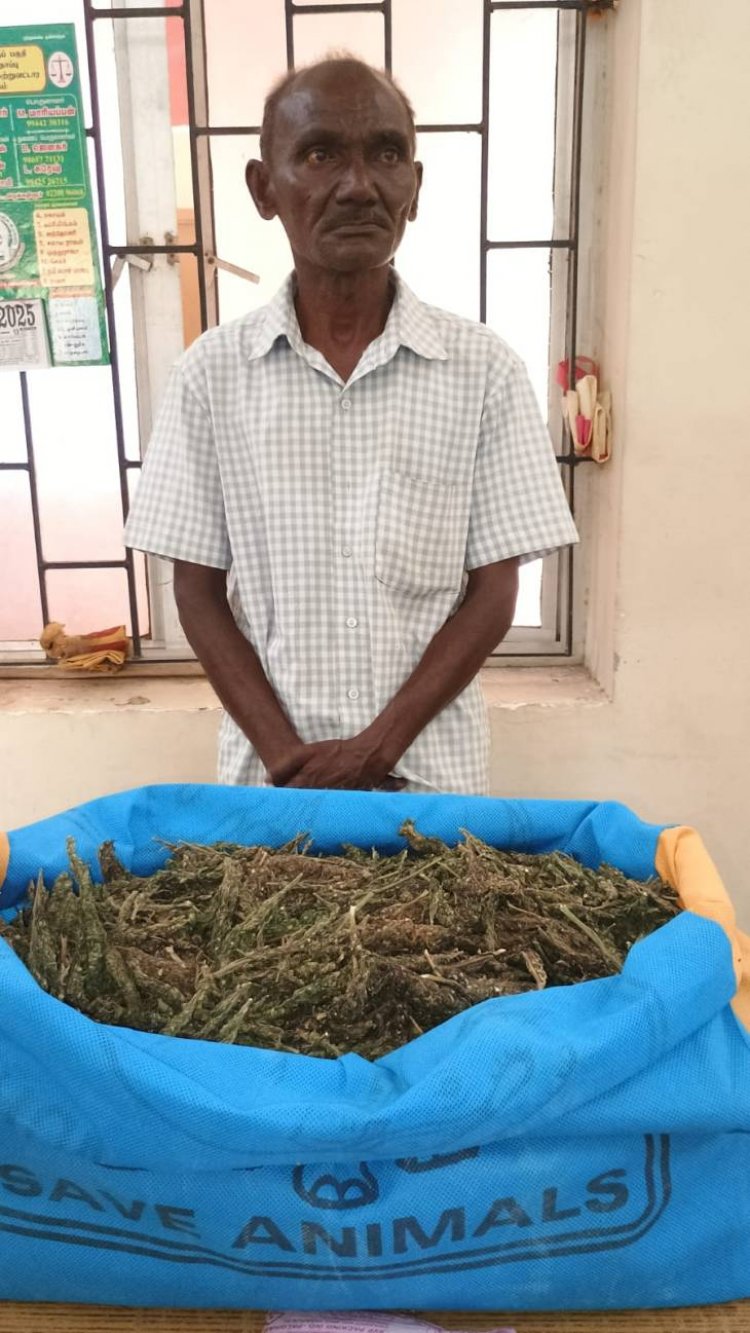 தூத்துக்குடி மாவட்டத்தில் விற்பனைக்காக கஞ்சா வைத்திருந்த நபர் கைது.!