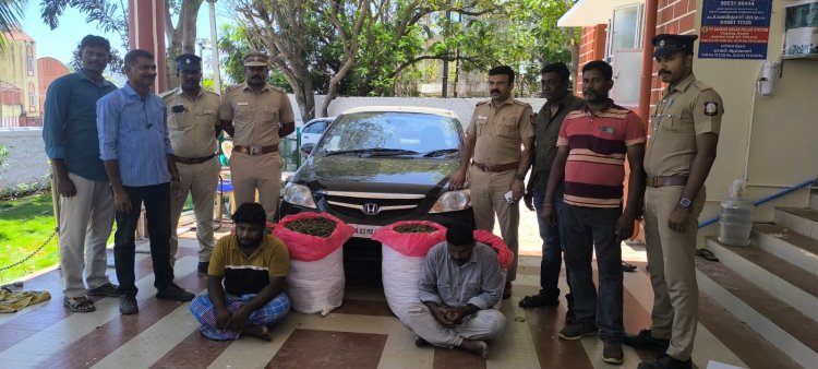 அனகாபுத்தூரில் காரில் கடத்திய 102 கிலோ கஞ்சா பறிமுதல் இருவர் கைது. !