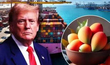 இந்திய மாம்பழங்களை நிராகரித்து திருப்பி அனுப்பிய அமெரிக்கா.! ரூ 4.28 கோடிகள் நஷ்டம்.!