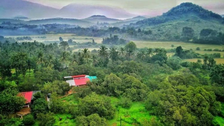 தோட்டத்தில் பண்ணை வீடு அமைத்து குத்தாட்டம் போட்ட கும்பல் கைது.!