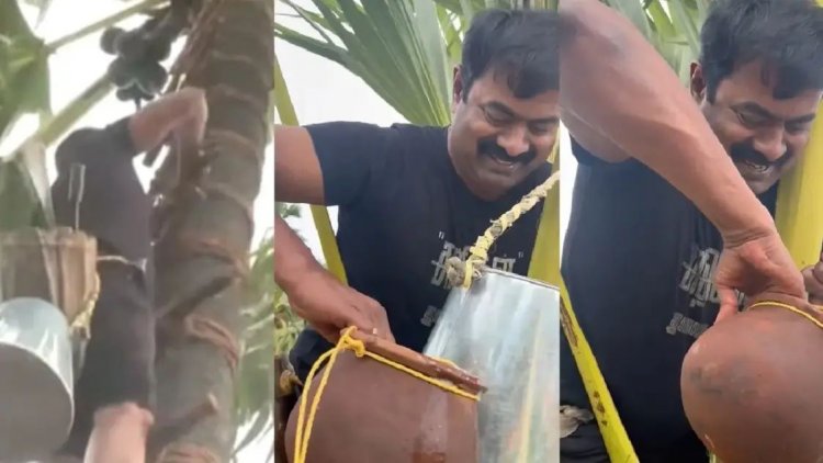 பனை மரம் ஏறி கள் இறக்கி அனைவருக்கும் கொடுத்து போராட்டம் நடத்திய சீமான். !