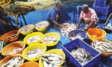 கிண்டலடித்த மீன் வியாபாரிக்கு அபராதம் விதித்த கோவை நுகர்வோர் குறைதீர் ஆணையம் .!