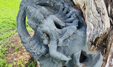 ஆயிரம் ஆண்டுகள் பழமையான முருகன் கற்சிலை சூளகிரி அருகே கண்டறியப்பட்டது .!