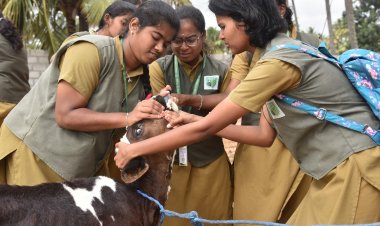 சூளகிரி அதியமான் வேளாண்மைக் கல்லூரி மாணவ மாணவிகள்  சார்பில் நாட்டு நலப்பணித் திட்டம் சார்பாக சிறப்பு முகாம் .!