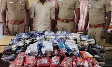 பெட்டிக் கடையில் தடை செய்யப்பட்ட குட்கா புகையிலைப் பொருட்கள் விற்பனை செய்த நபர் கைது.!