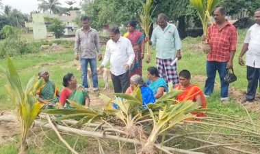 விவசாயம் செய்து வந்த நிலத்தினை அத்துமீறி தென்னங்கன்றுகளை வேரோடு பிடுங்கி சேதப்படுத்திய வருவாய் துறையினர் மீது உரிய நடவடிக்கை எடுக்க வலியுறுத்தி மாவட்ட வருவாய் அலுவலரிடம் மனு. !