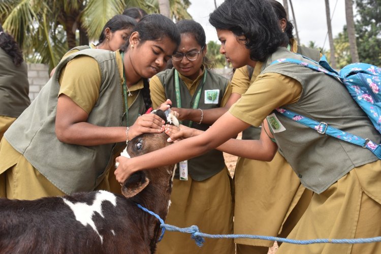 சூளகிரி அதியமான் வேளாண்மைக் கல்லூரி மாணவ மாணவிகள் சார்பில் நாட்டு நலப்பணித் திட்டம் சார்பாக சிறப்பு முகாம் .!