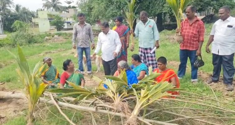 விவசாயம் செய்து வந்த நிலத்தினை அத்துமீறி தென்னங்கன்றுகளை வேரோடு பிடுங்கி சேதப்படுத்திய வருவாய் துறையினர் மீது உரிய நடவடிக்கை எடுக்க வலியுறுத்தி மாவட்ட வருவாய் அலுவலரிடம் மனு. !