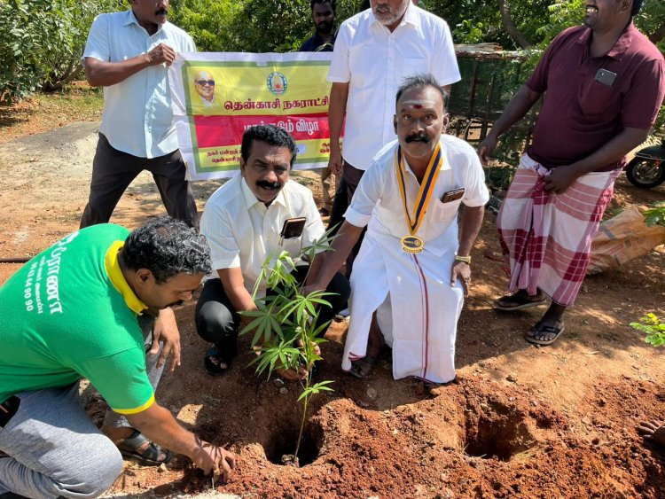 தென்காசி நகராட்சி பகுதிகளில் மரக்கன்றுகள்.! நடும் நிகழ்ச்சி.