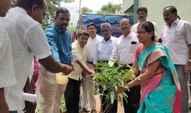 நரிமேரி ஊராட்சி ஒன்றிய. நடு நிலைப் பள்ளியில் பள்ளி மாணவ மாணவிகள் சார்பில் சாகுபடி செய்யப்பட்டுள்ள  காய்கறி தோட்டத்தினை பார்வையிட்ட மாவட்ட ஆட்சியர் .!