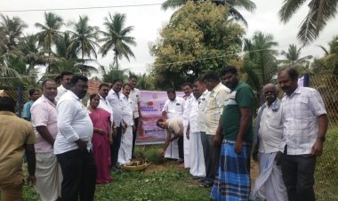 அம்பேத்கர் நகர் ஏரிக்கரை பகுதியில் "தூய்மையே சேவை 2025" என்ற இயக்கத்திற்கு பேரூராட்சி மன்ற தலைவர் அமானுல்லா தலைமையில் செயல் அலுவலர் செ.ரவிசங்கர்  முன்னிலையில் பனை விதைகள் நடப்பட்டன.!