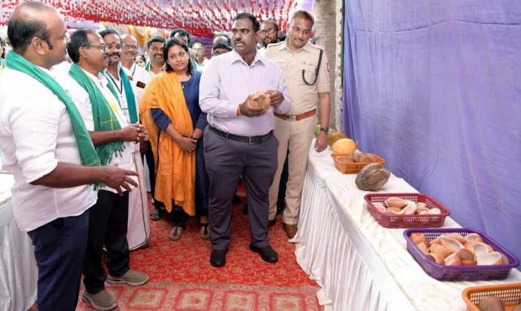 உலக தேங்காய் தினத்தையொட்டி, நடைபெற்ற உலக தேங்காய் தின திருவிழா .!