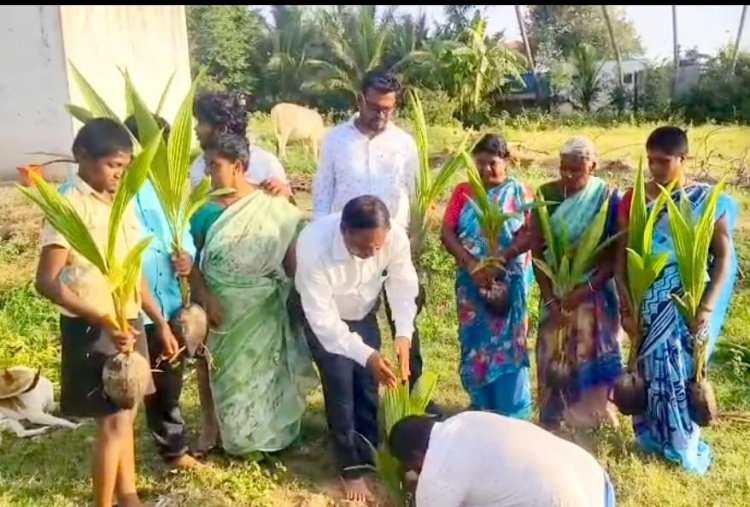 விவசாயம் செய்து வந்த நிலத்தில் வருவாய் துறையினர் தென்னங்கன்றுகளை சேதப்படுத்திய இடத்தில் மீண்டும் தென்னங்கன்றுகளை சமுக நுகர்வோர் பாதுகாப்பு நலச்சங்கத்தின் மாநில பொதுச் செயலாளர் டாக்டர் சந்திரமோகன் நடவு செய்தார்.!