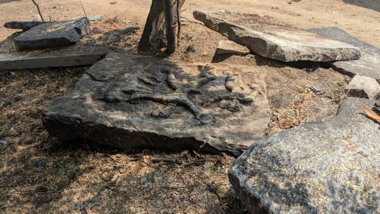 12 ஆம் நூற்றாண்டின் கங்கர் கலையமைதியில் புலிக் குத்திப் பட்டான் கல் கண்டுபிடிப்பு .!