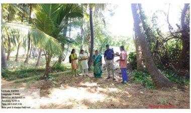 தென்காசி தோட்டக்கலைத் துறை சார்பில் தென்னை, மற்றும் வாழை பயிர் பாதுகாப்பு குறித்த விழிப்புணர்வு நிகழ்ச்சி.!