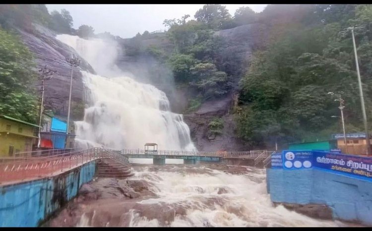 குற்றாலம் பகுதியில் பலத்த மழை அருவிகளில் வெள்ளம் - குளிக்க தடை.!