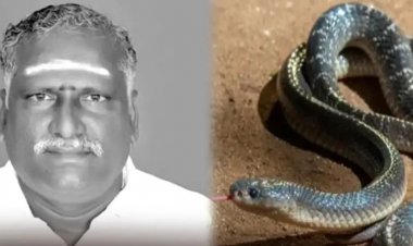 3 கோடி டேர்ம் இன்சூரன்ஸ் பணம்.. தந்தையை பாம்பை விட்டு கடிக்க வைத்த மகன்கள்.! இறுதியில் நடந்ததென்ன?