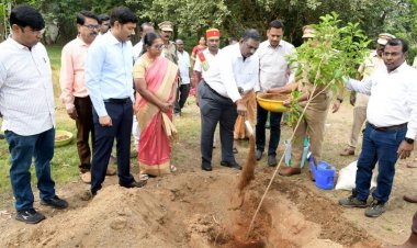 மாவட்ட ஆட்சியர் அலுவலக வளாகங்களில் மரக்கன்றுகள் நடும் பணியை மாவட்ட ஆட்சித்தலைவர் ச.தினேஷ் குமார் இ.ஆ.ப. துவக்கி வைத்து, மரக்கன்றுகளை நடவு செய்தார் .!