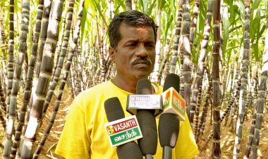 கிருஷ்ணகிரி மாவட்டத்தில் கரும்பு அமோக விளைச்சல் விவசாயிகள் மகிழ்ச்சி.! பொங்கல் பண்டிகையில் நல்ல விலைக் கிடைக்கும் என்று விவசாயிகள் நம்பிக்கை.!