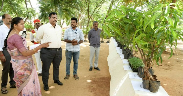 தோட்டக்கலை துறை சார்பாக செயல்பட்டு வரும் அரசு தோட்டக்கலை பண்ணையில் நேரில் ஆய்வு மேற்கொண்ட மாவட்ட ஆட்சியர். !