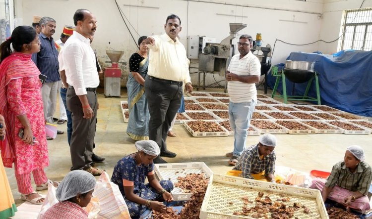 குந்தாரப்பள்ளி முதன்மை பதப்படுத்தும் நிலையத்தை மாவட்ட ஆட்சித்தலைவர் ச.தினேஷ் குமார் இ.ஆ.ப., நேரில் பார்வையிட்டு ஆய்வு மேற்கொண்டார்.!