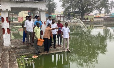 பாக்டீரியா தொழில் நுட்பத்தில் பச்சைக் குளம் தூய்மைப்படுத்தும் பணி துவக்கி வைப்பு.!