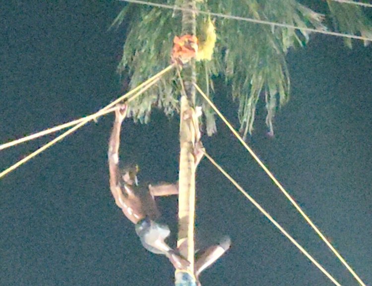 எலத்தகிரி கிராமத்தில் பொங்கல் விழாவினை முன்னிட்டு நடைபெற்ற மாபெரும் வழுக்கு மரம் ஏறும் போட்டி.!